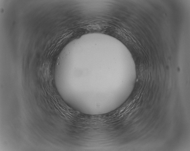 X0000068831297200605050908