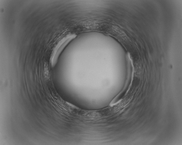 X0000068831298200605050908