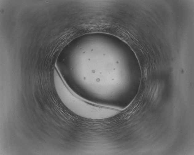 X0000068831300200605050908