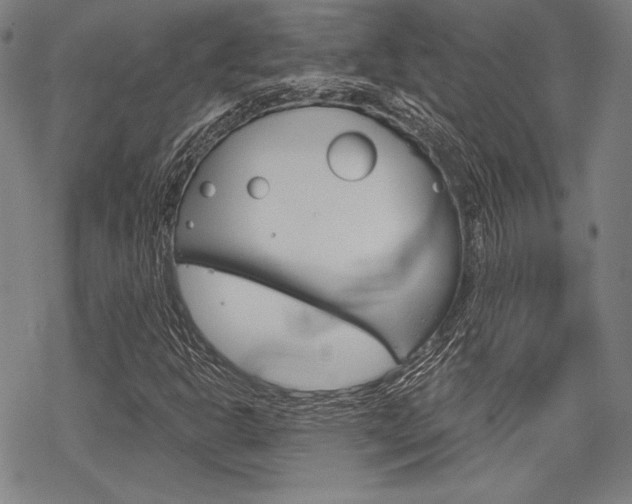 X0000068831302200605050908