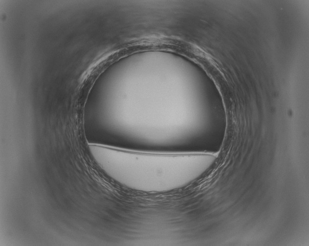 X0000068831304200605050908