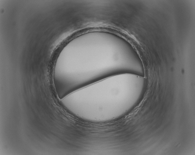 X0000068831311200605050908