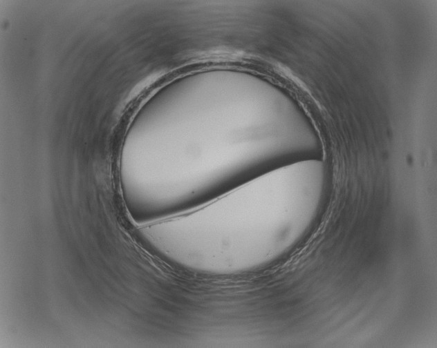 X0000068831315200605050908