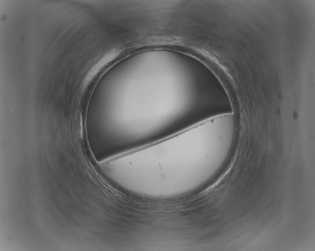 X0000068831317200605050908