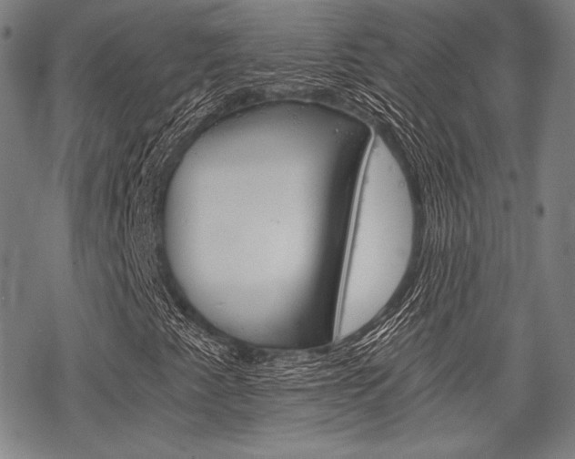 X0000068831345200605050908