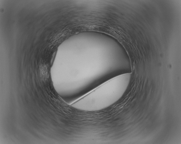 X0000068831347200605050908