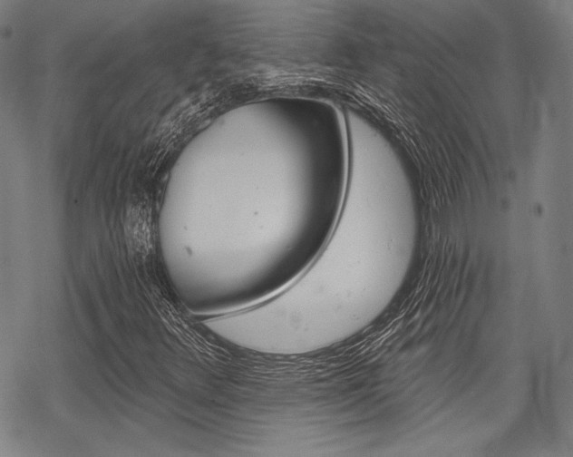 X0000068831348200605050908