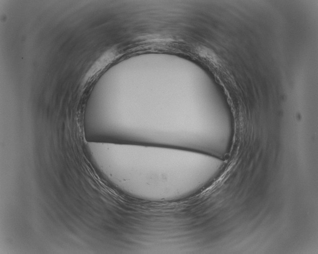 X0000068831354200605050907