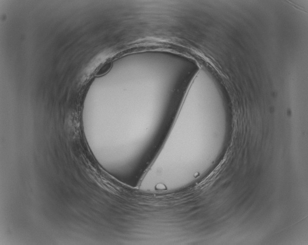 X0000068831355200605050907
