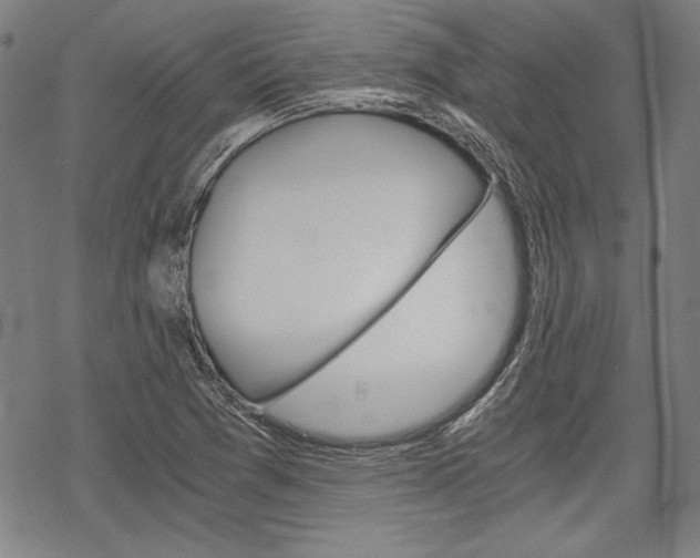X0000068831361200605050907
