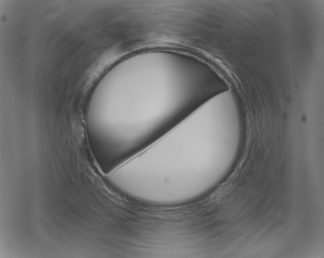 X0000068831363200605050907