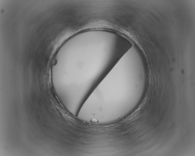 X0000068831366200605050907