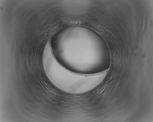 X0000068831394200605050906