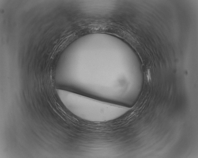X0000068831396200605050906