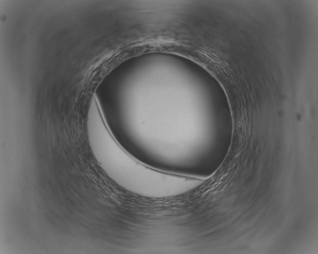 X0000068831398200605050906