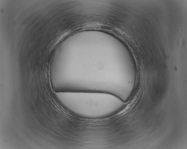 X0000068831401200605050906