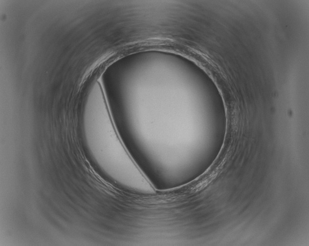 X0000068831402200605050906