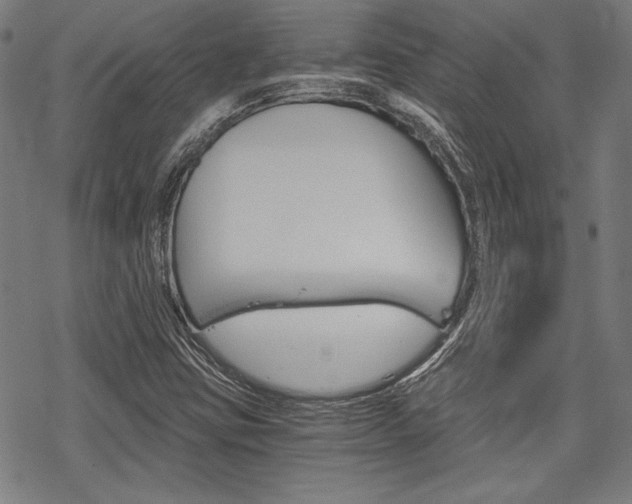 X0000068831403200605050906