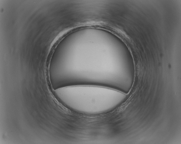 X0000068831412200605050906