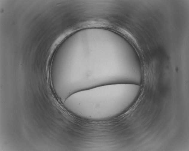 X0000068831419200605050906