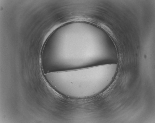 X0000068831428200605050907