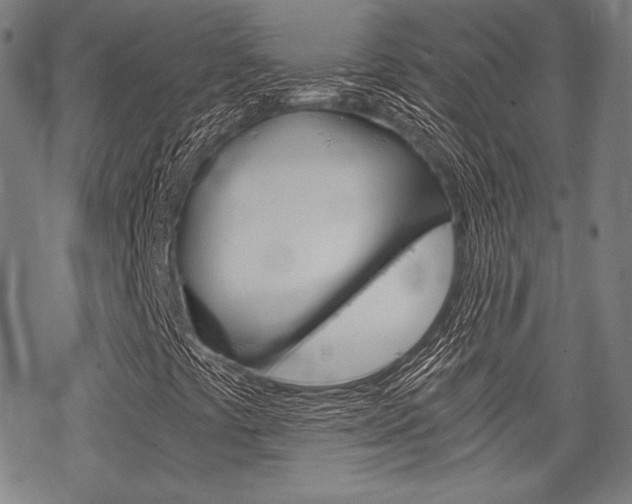 X0000068831441200605050906