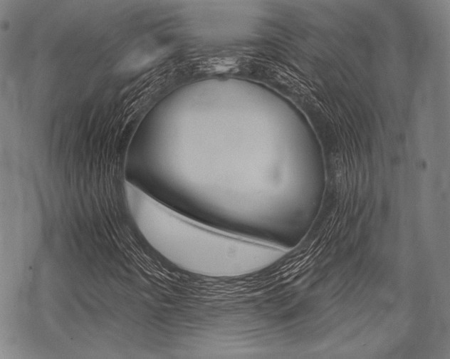 X0000068831442200605050906