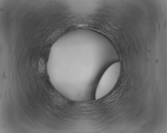 X0000068831443200605050906