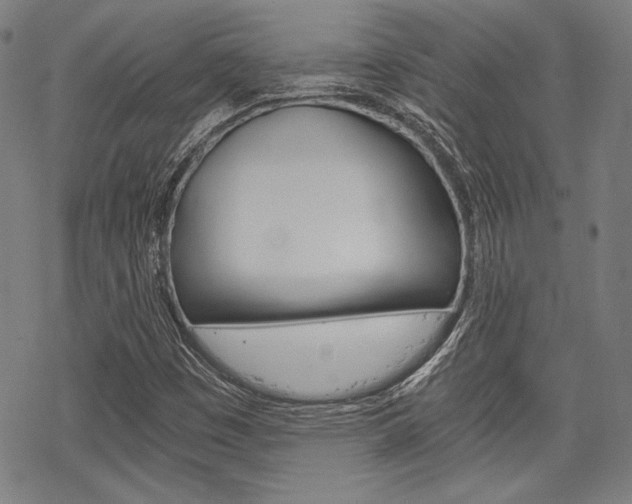 X0000068831449200605050906