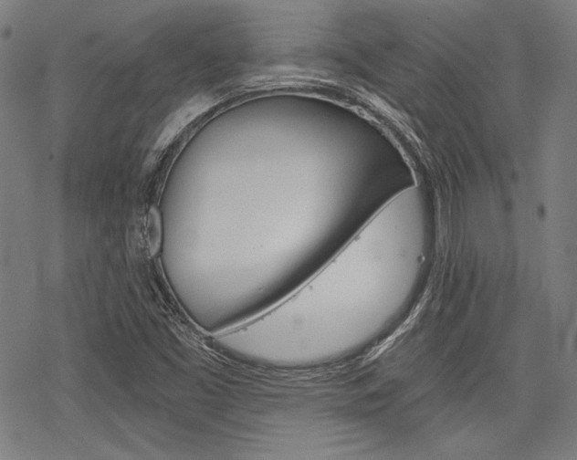 X0000068831453200605050906