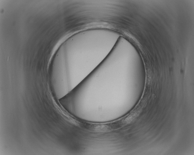 X0000068831467200605050906