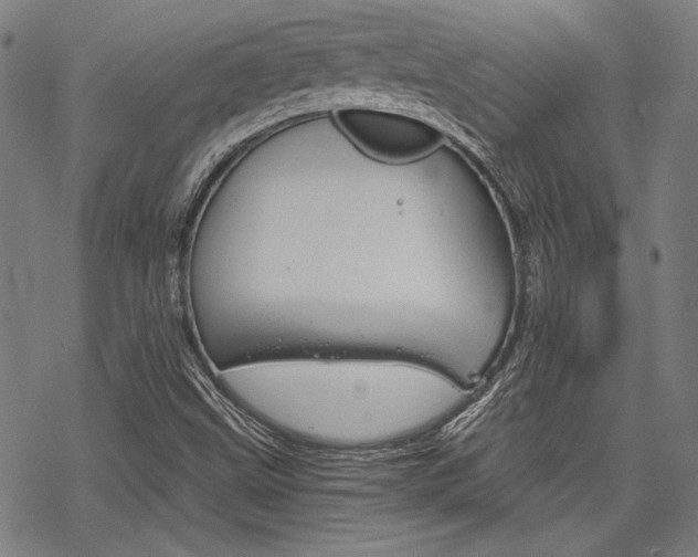X0000068831499200605050904