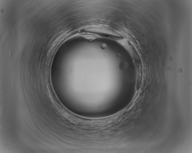 X0000068830001200605051248