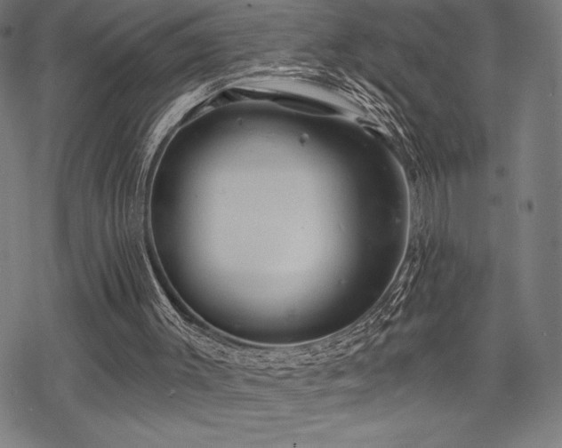 X0000068830003200605051248