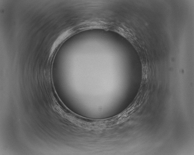 X0000068830004200605051248