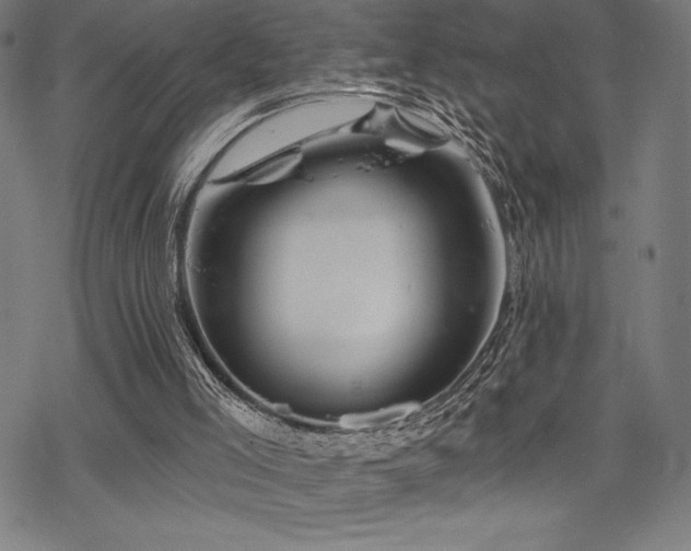 X0000068830005200605051248