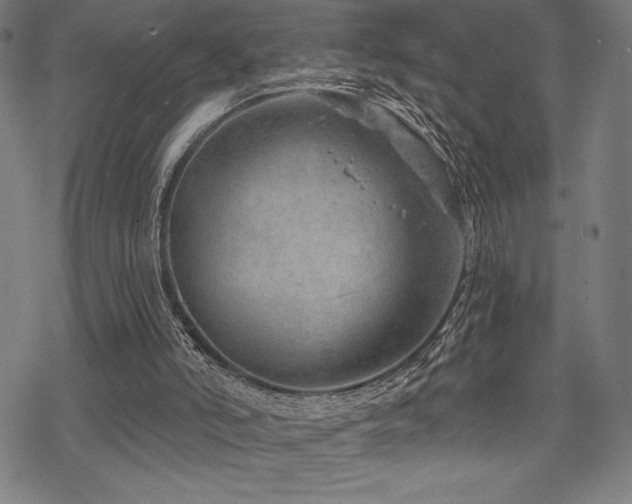 X0000068830006200605051248