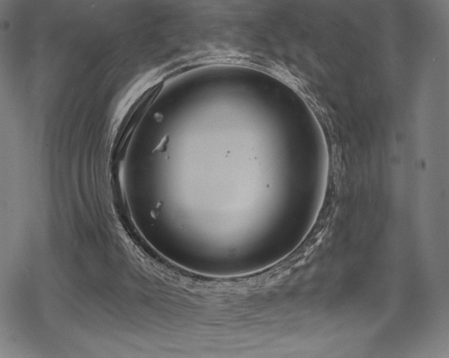 X0000068830007200605051248