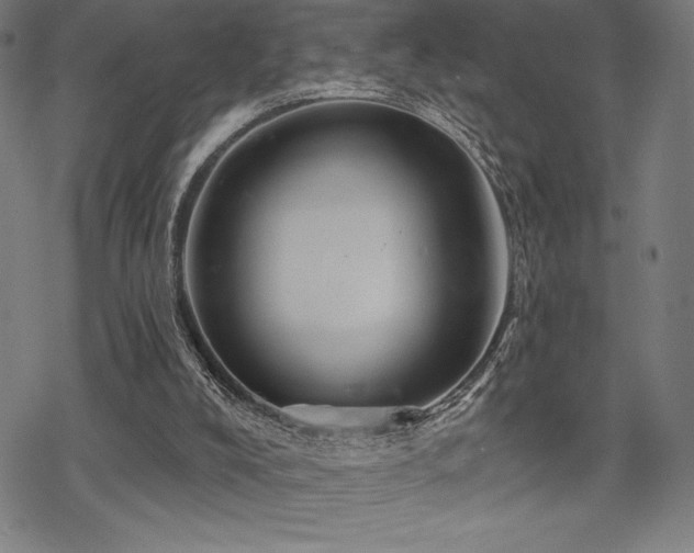 X0000068830008200605051248