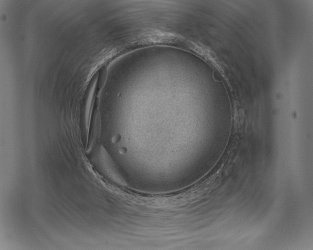 X0000068830010200605051248