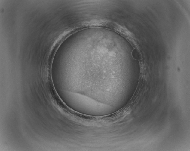 X0000068830012200605051248