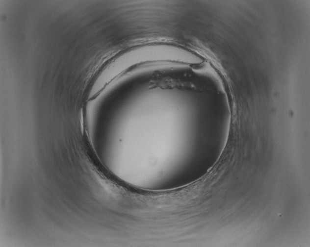 X0000068830013200605051248