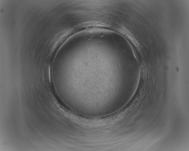 X0000068830014200605051248