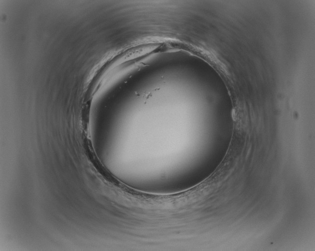 X0000068830015200605051248