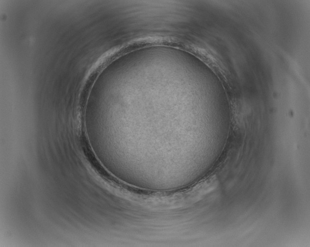 X0000068830016200605051248