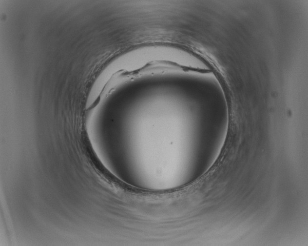 X0000068830017200605051248