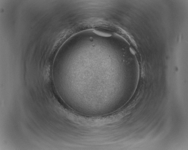 X0000068830018200605051248