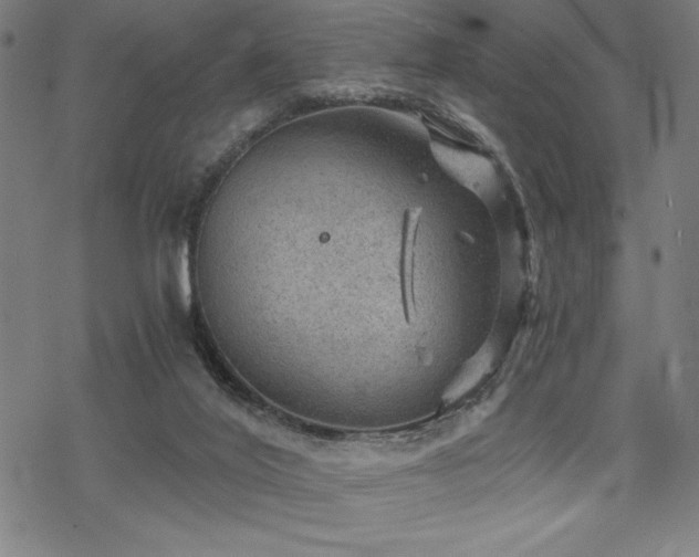 X0000068830020200605051248