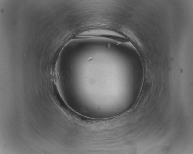 X0000068830021200605051248