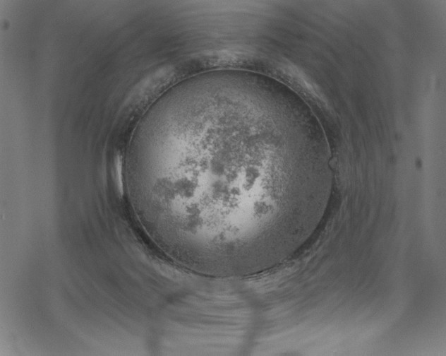 X0000068830022200605051248